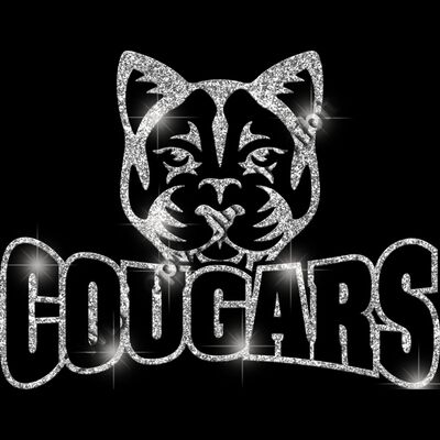 GLT32 SILVER GLITTER Thumbnail